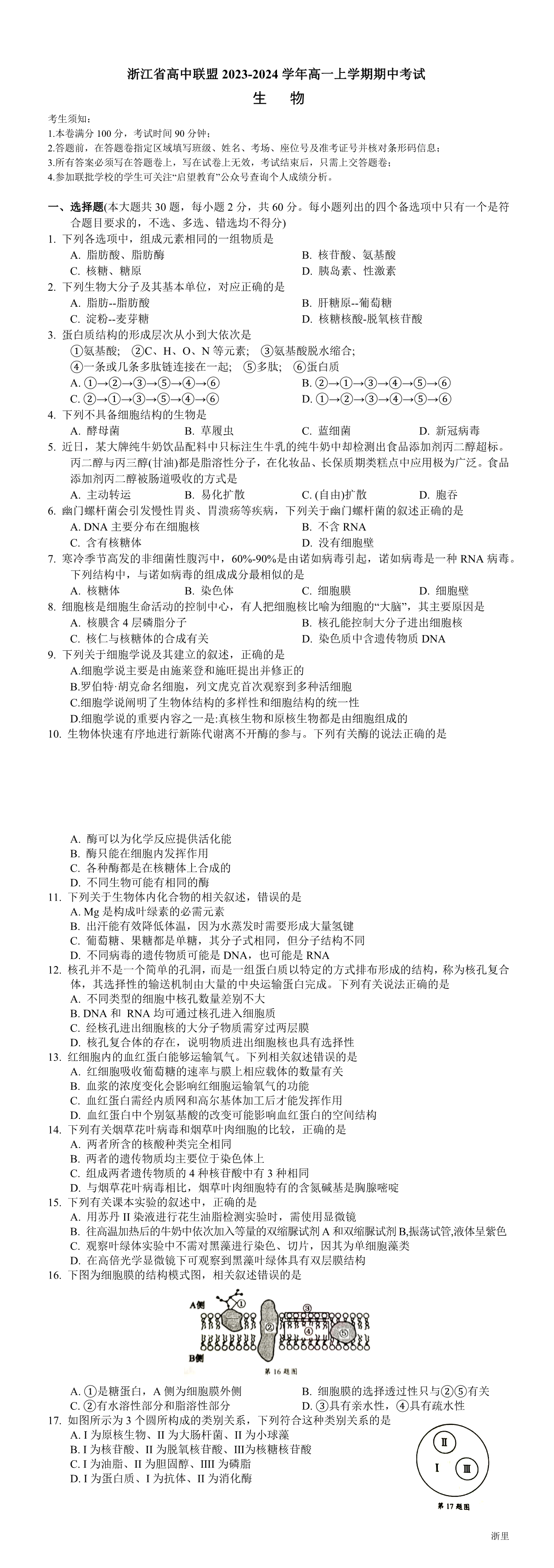 缩略图